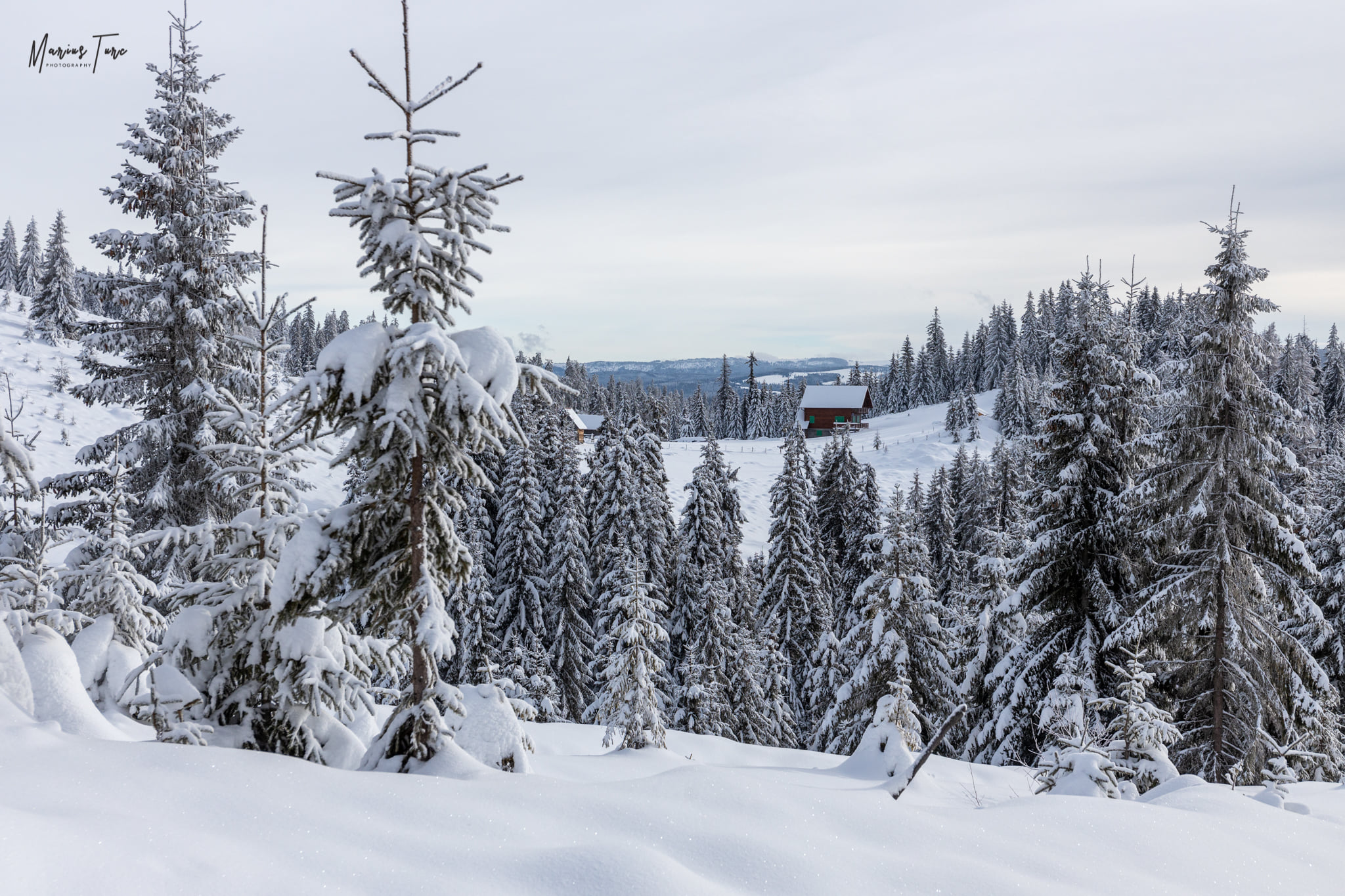 spre Cabana cota 1600 - Marius Turc
