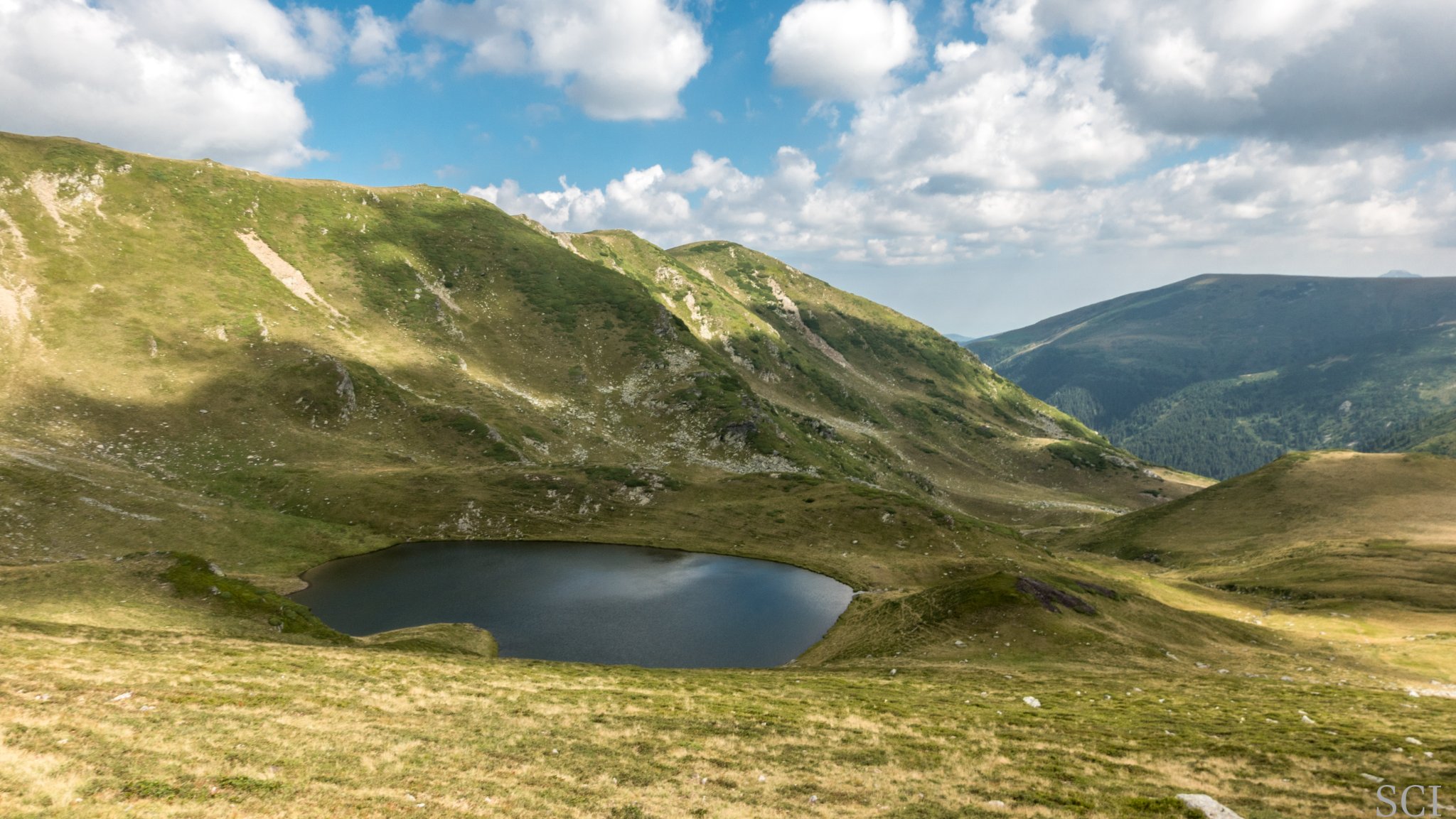  Lacul Scărișoara - Csaba-Ilie Silvesan