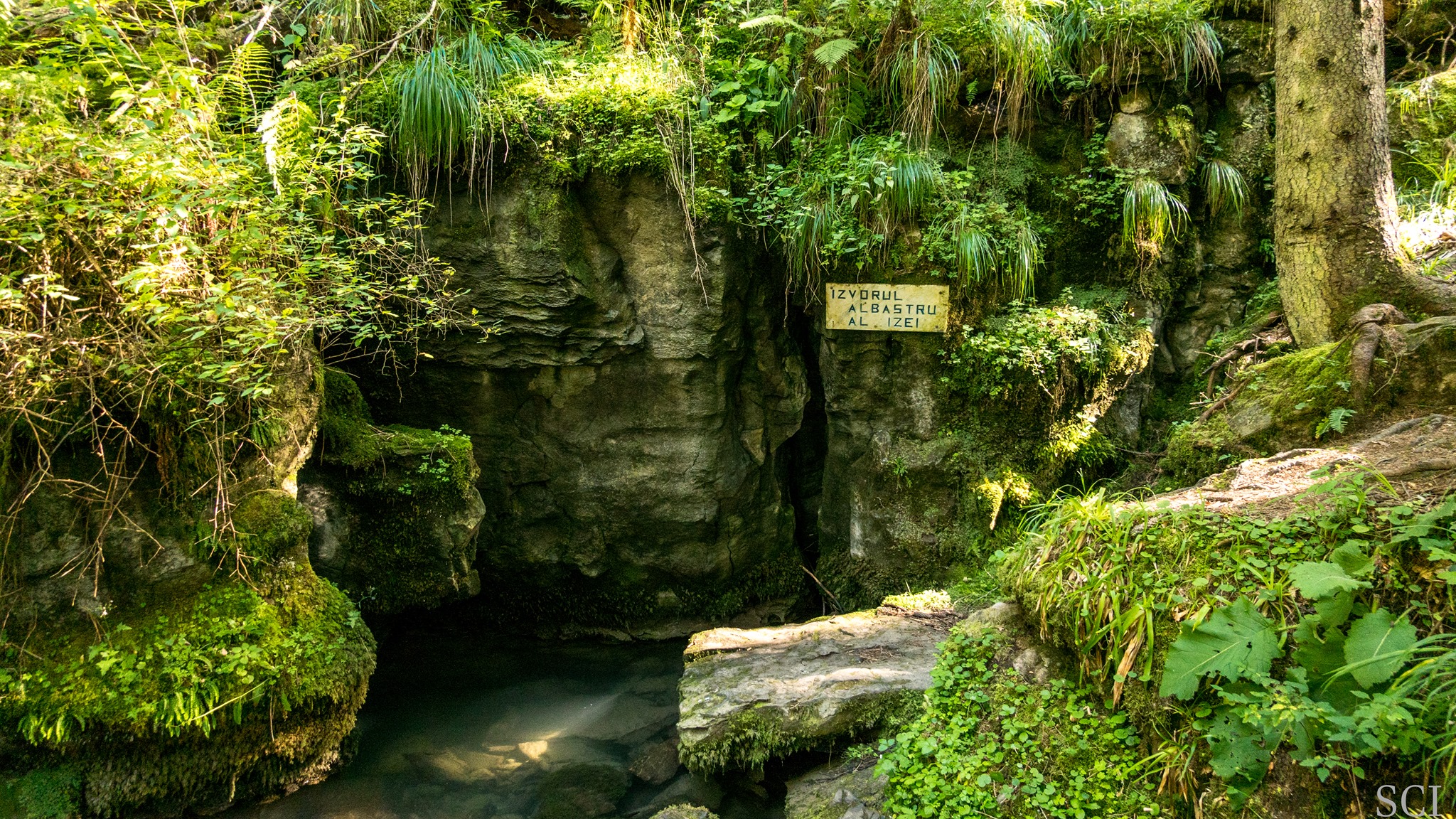 Izvorul Albastru al izei - Csaba-Ilie Silvesan
