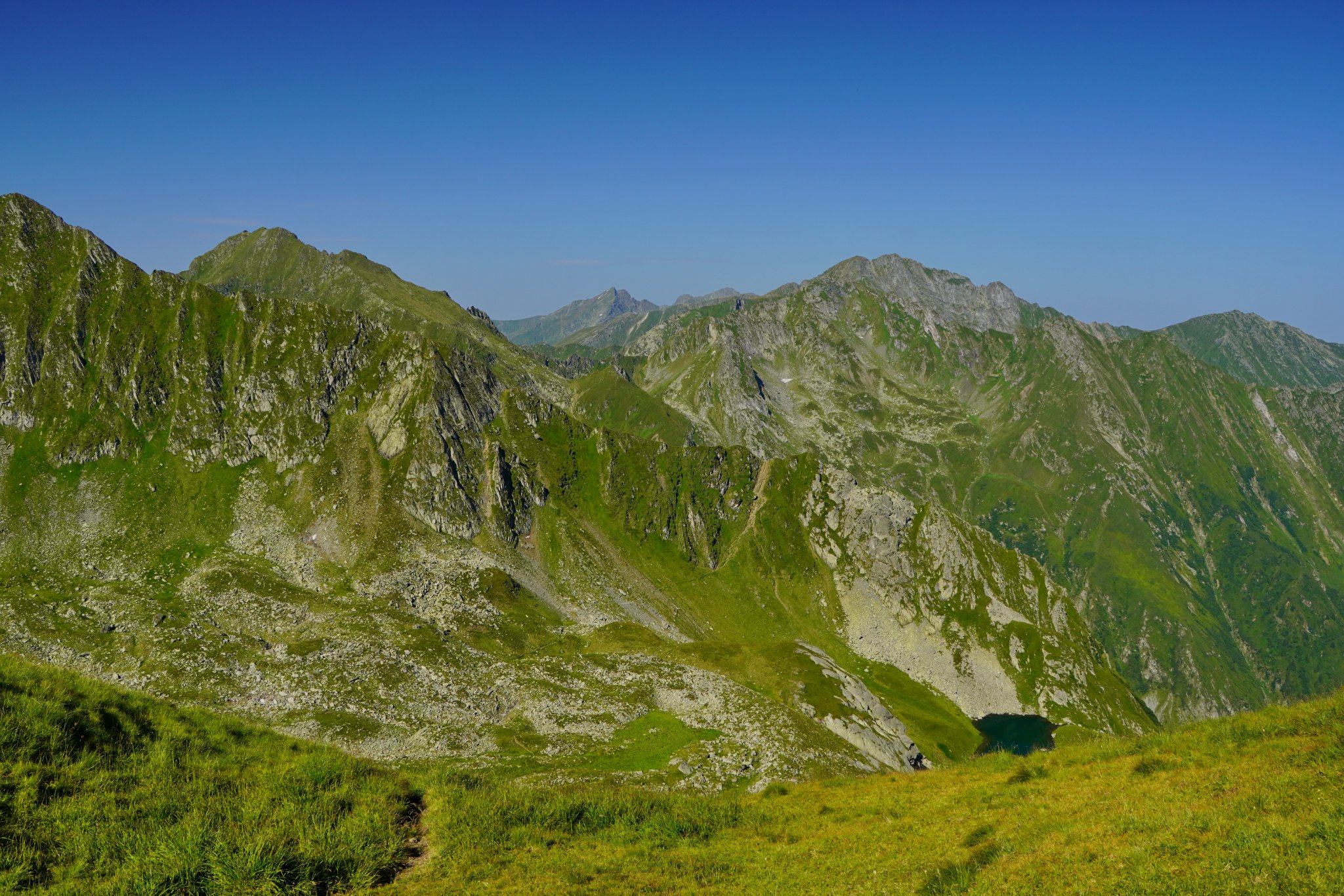  Podrăgelul și Muchia Albotei - Adrian Vintilă