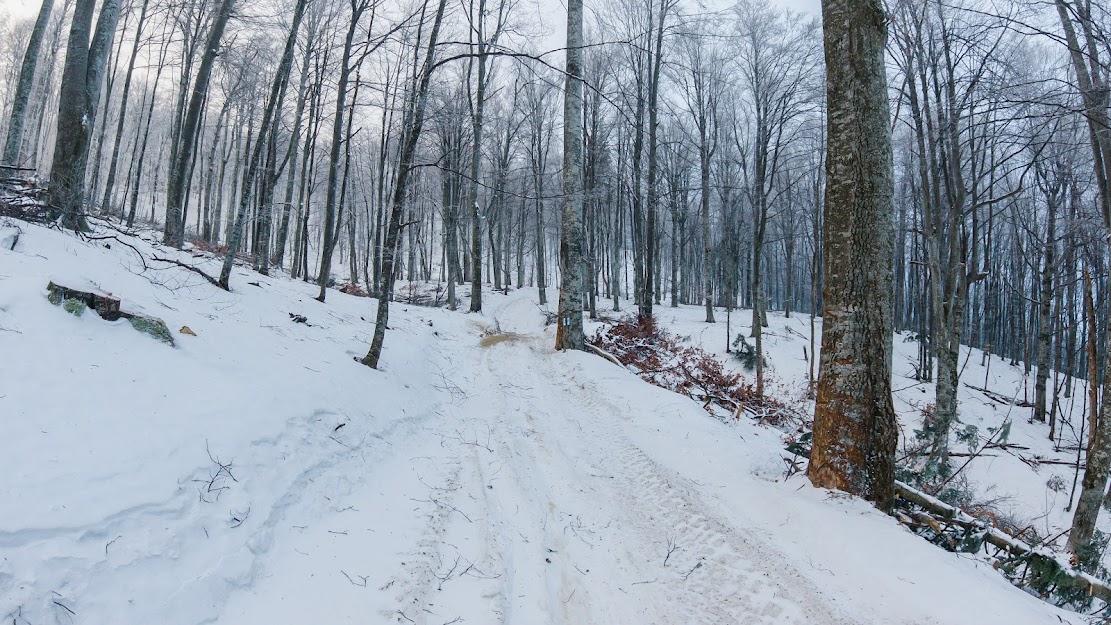  3. Spre Culmea Caprioarei - Andrei Pahomi