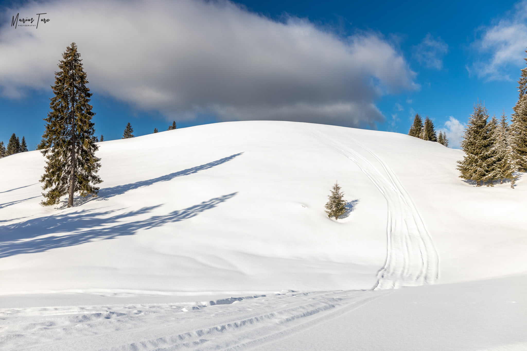  Urmele snowmobilelor - Marius Turc