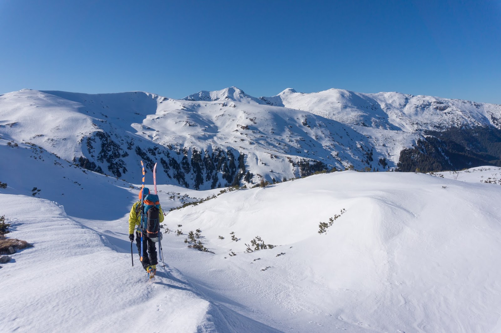 Coborârea spre șaua Între Izvoare - Alina Cîrja