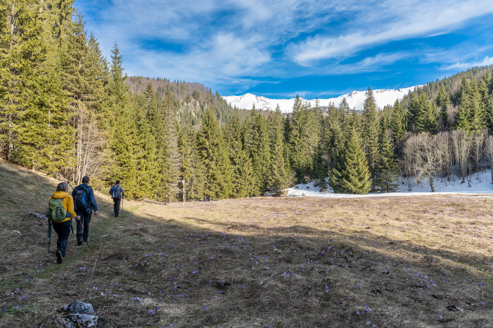  Coborand spre Campusel - Marius Turc