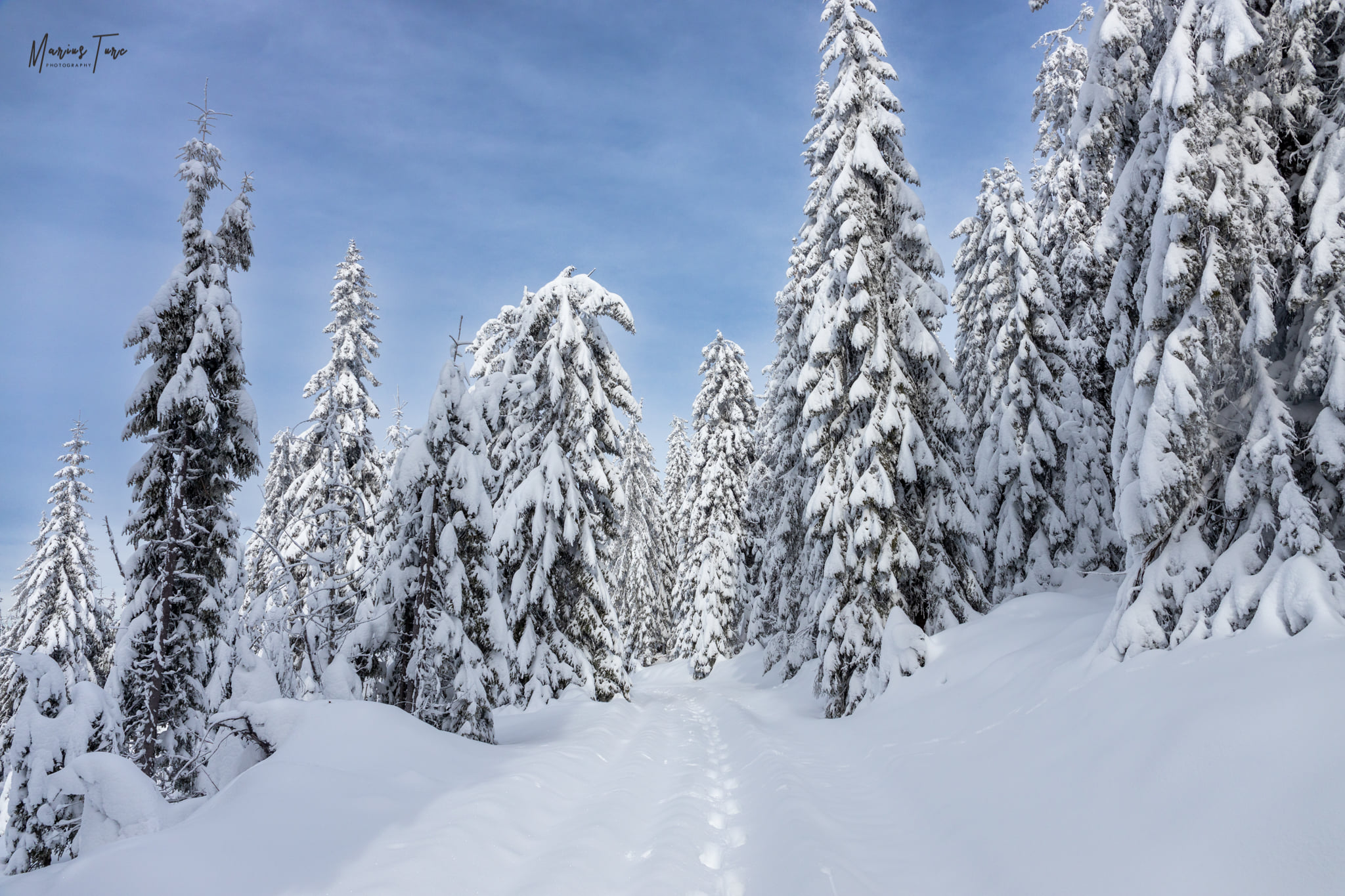  Poteca prin zăpada - Mariu Turc