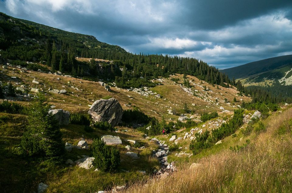 Blocuri eratice  - Morar Daniel