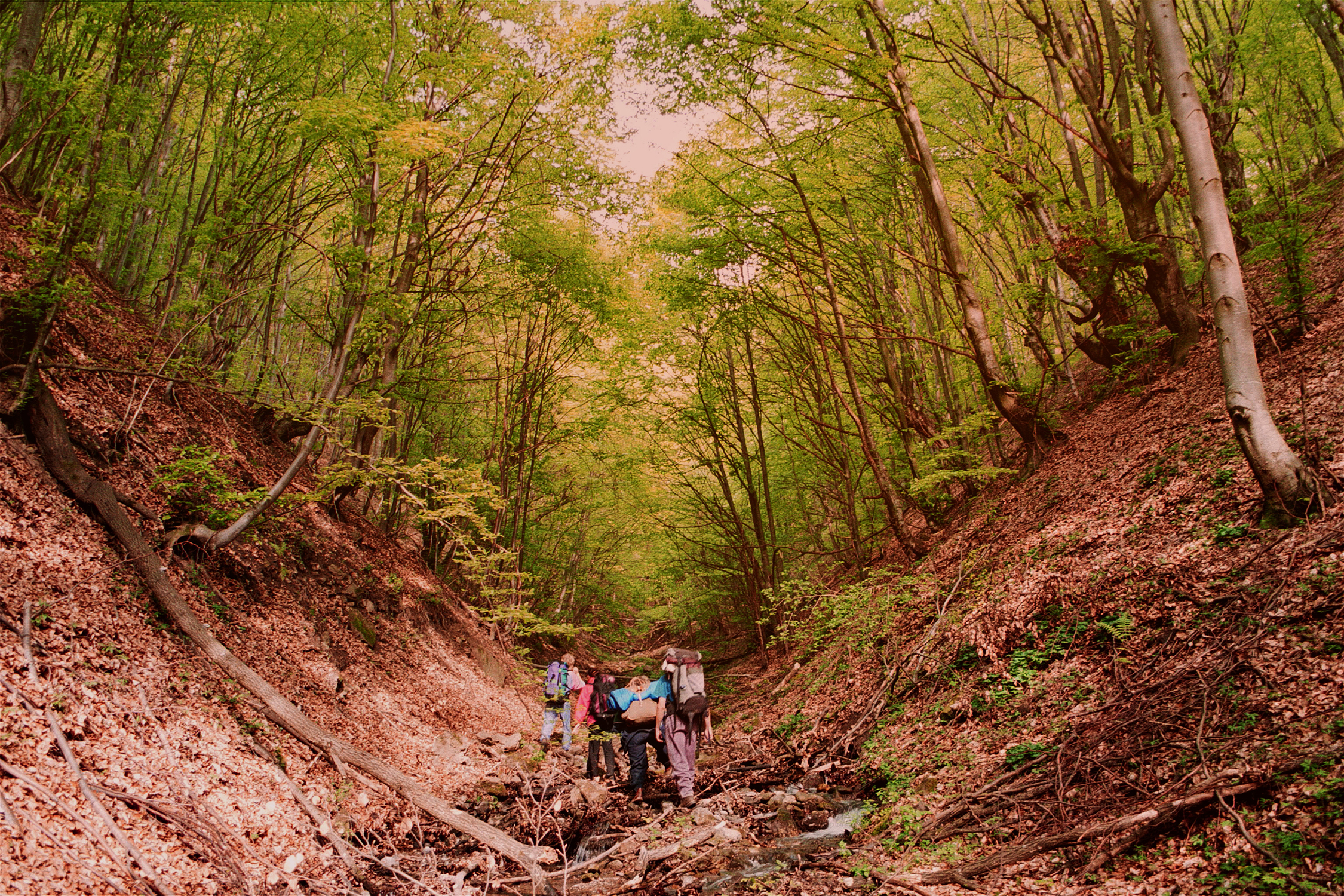  Urcarea pe Pârâul Cailor