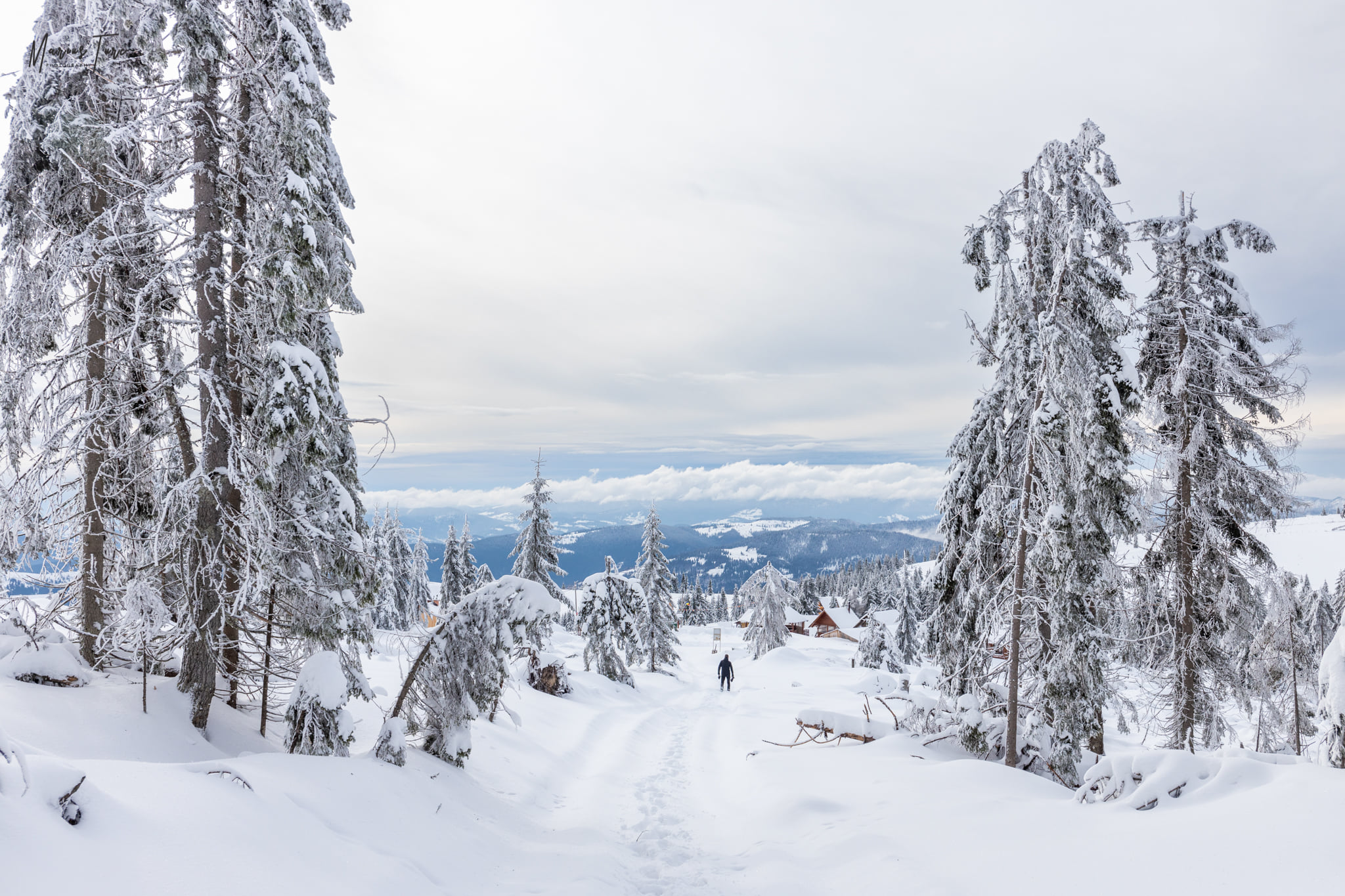  Inapoi spre Cabana Cota 1600 - Marius Turc