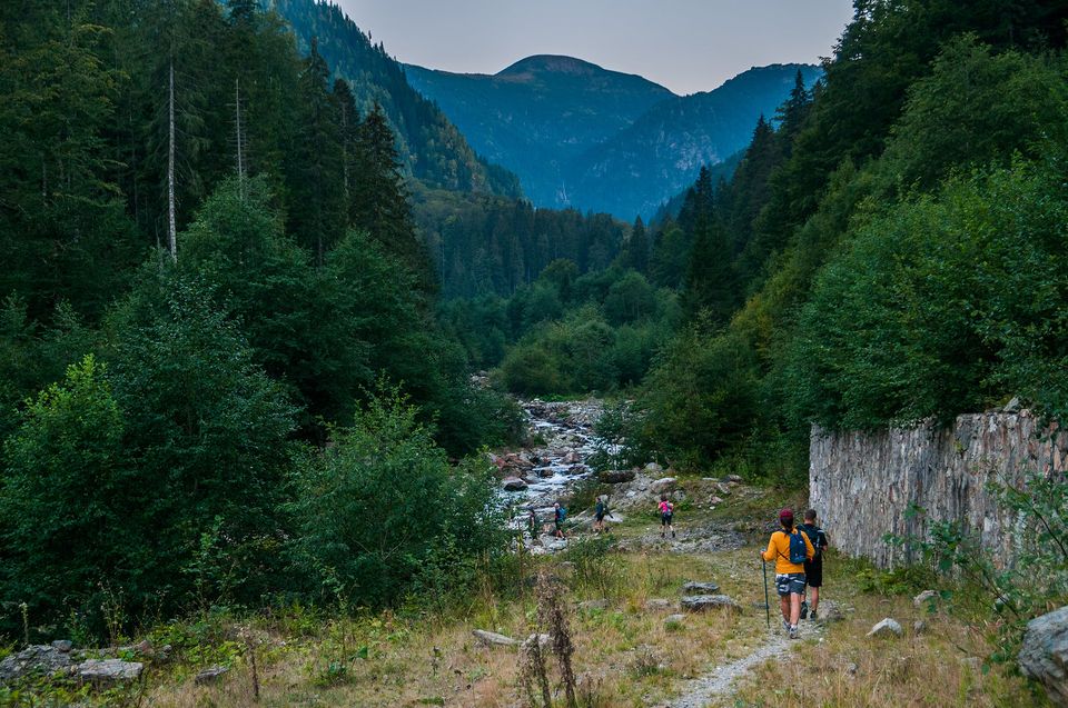  Spre bifurcatia de poteci de pe Valea Lapusnicul Mic - Daniel Morar