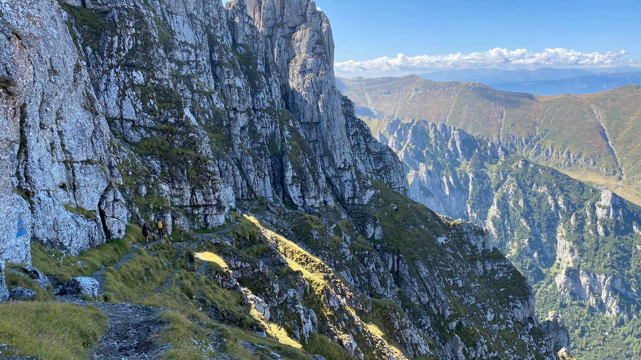  Porțiunea de brână propriu-zisă - Marius Popa