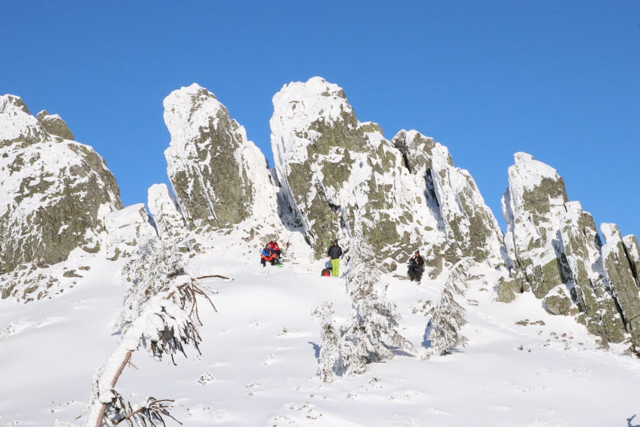 Sub Creasta Cocosului - Debi Debreni