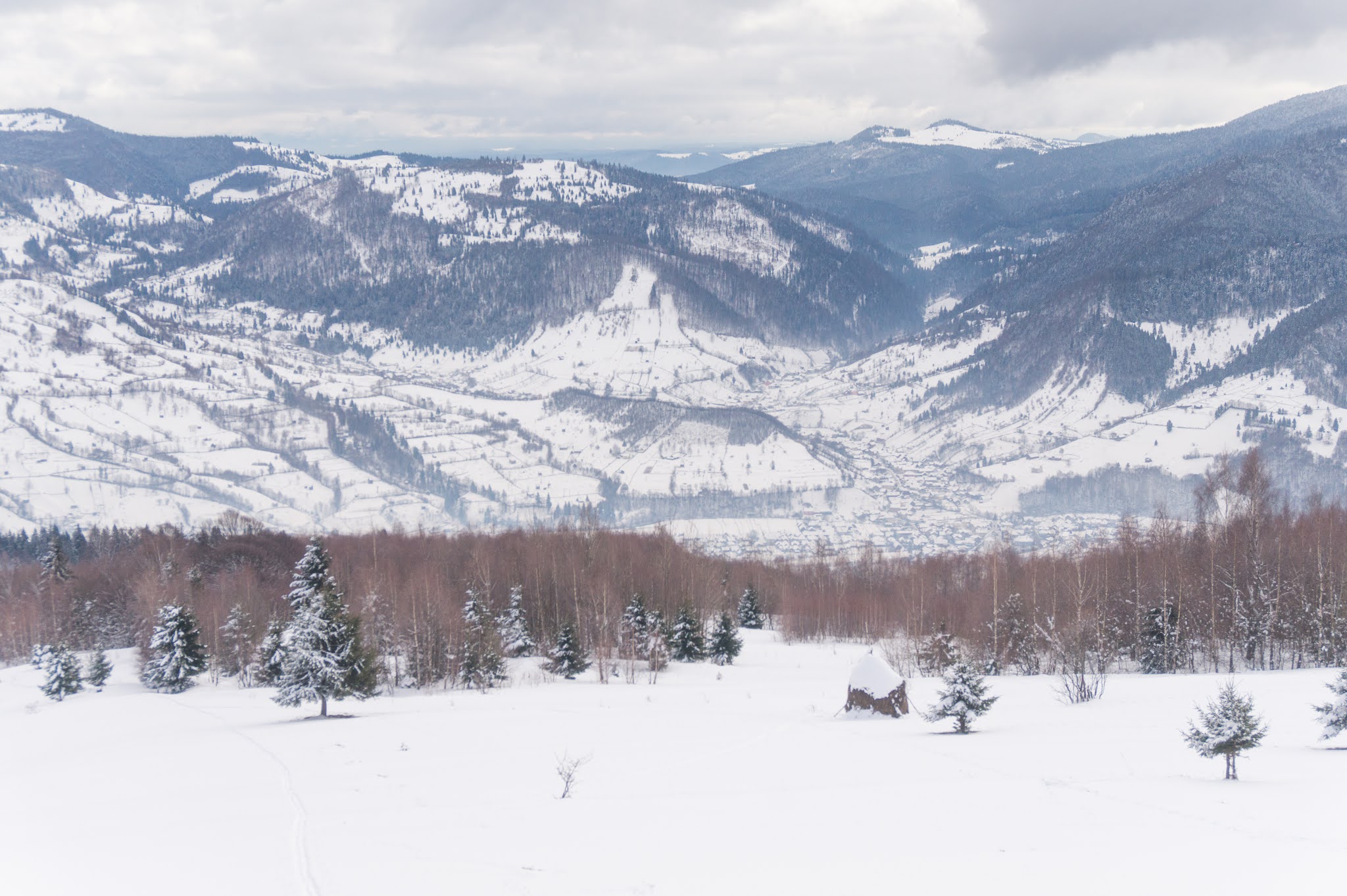 Fânațe deasupra satului Șanț - Alina Cîrja