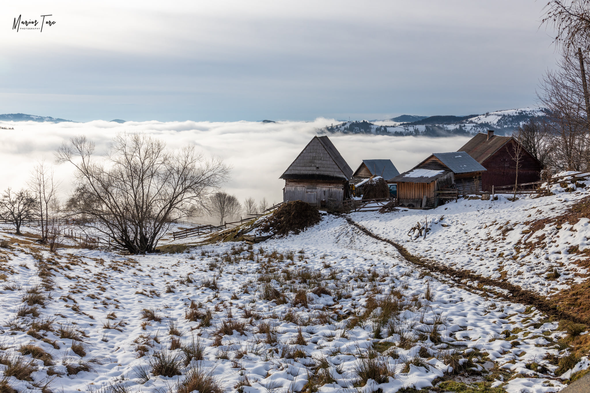  Gospodarie deasupra marii alpine - Marius Turc