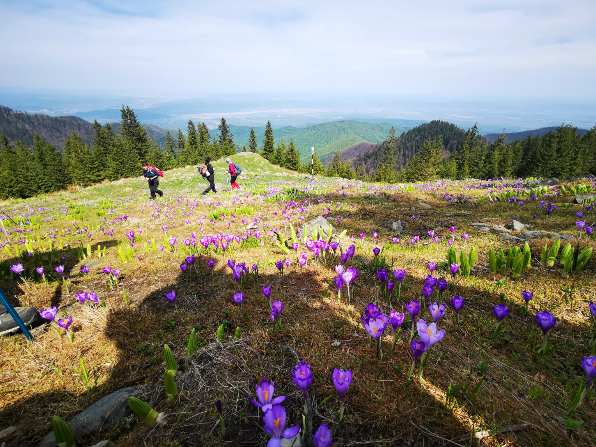  Pe urcare spre Monumentul salvamontistilor - Ioli Bocioroaga