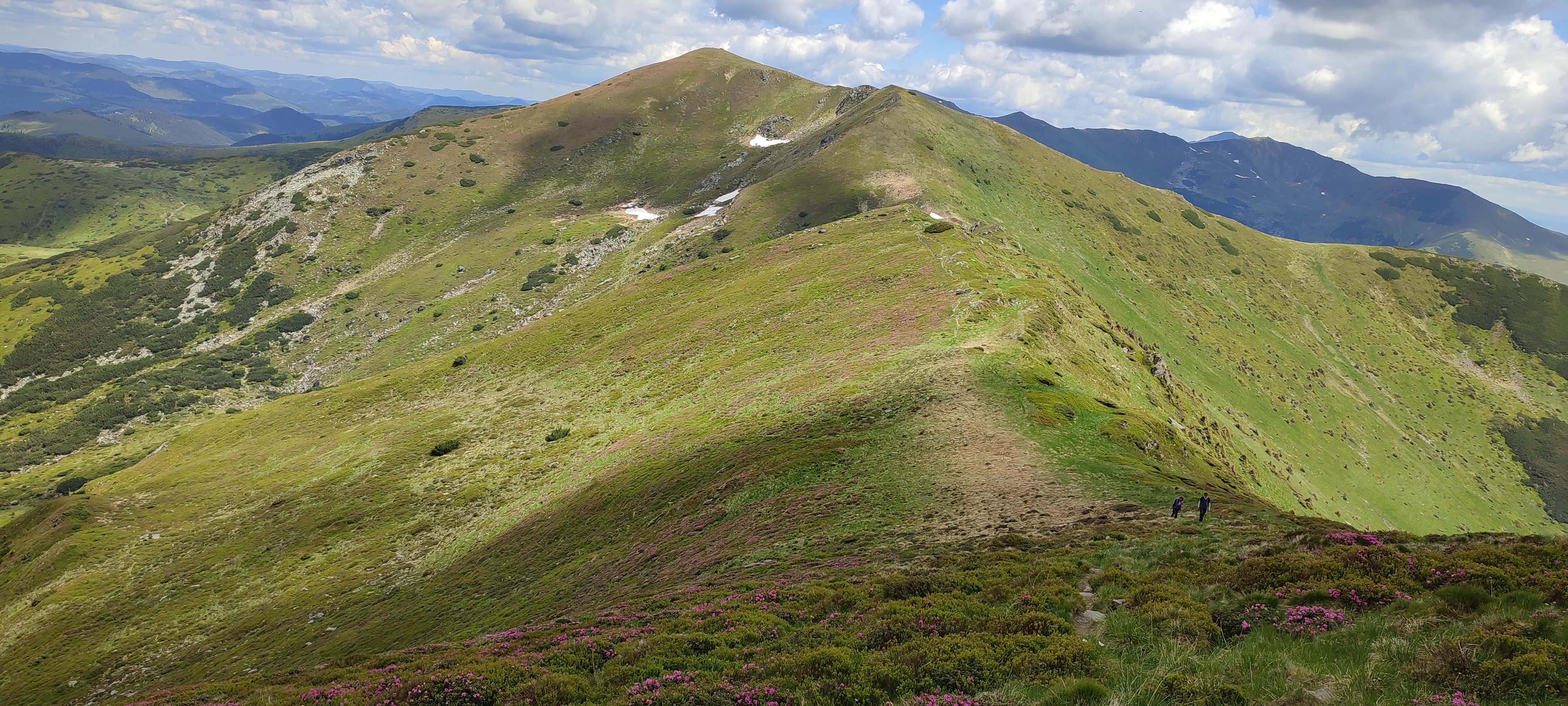  Șaua Puzdrele spre Laptele și Galațului - Manu Munțomanu