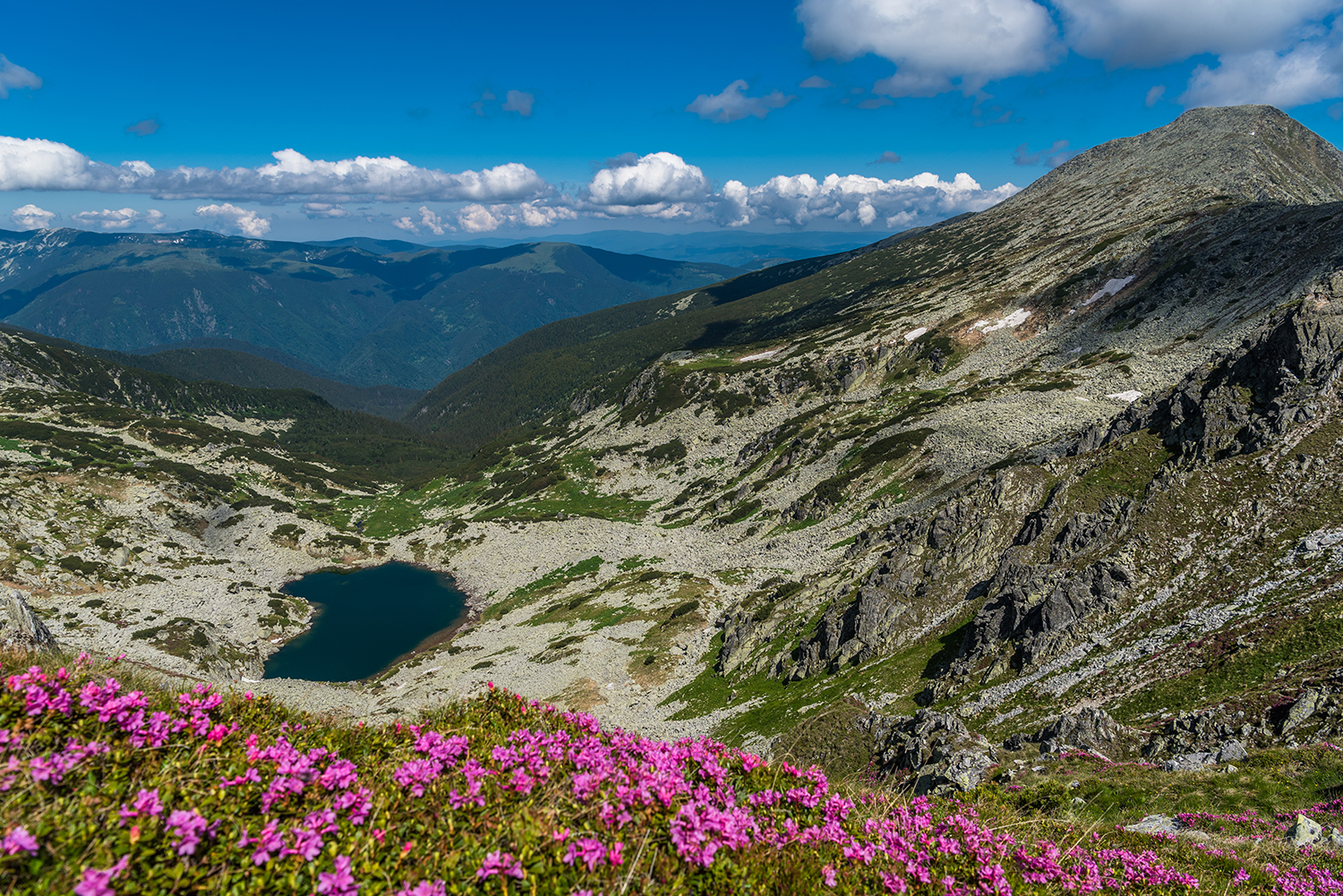 Carpații Meridionali