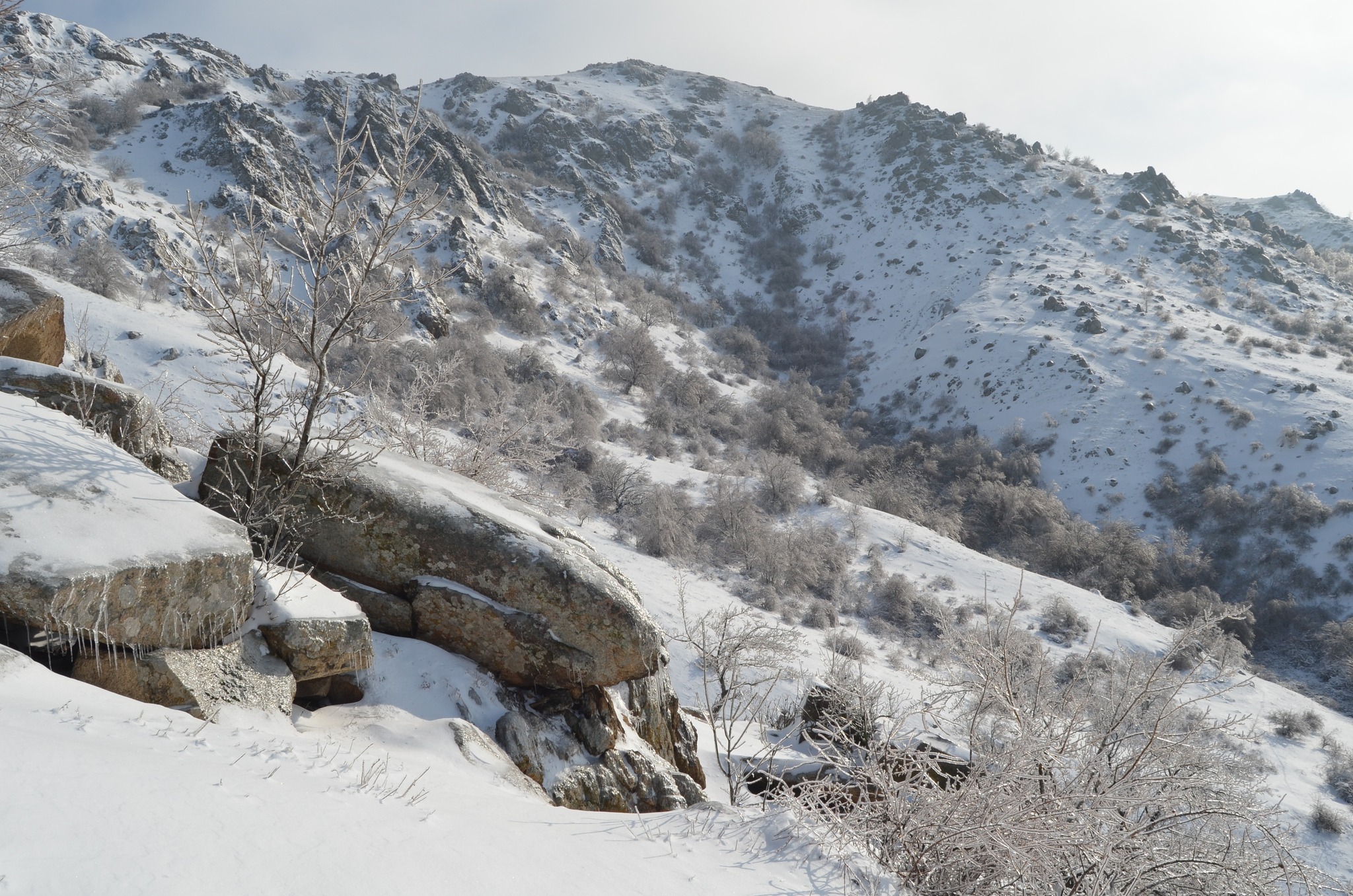  Abruptul Suluku Mare - Andrei Raftopol