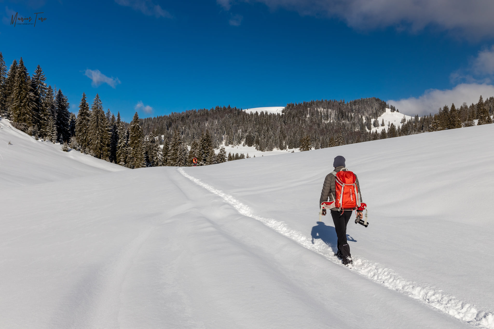  6. pe carare- Marius Turc