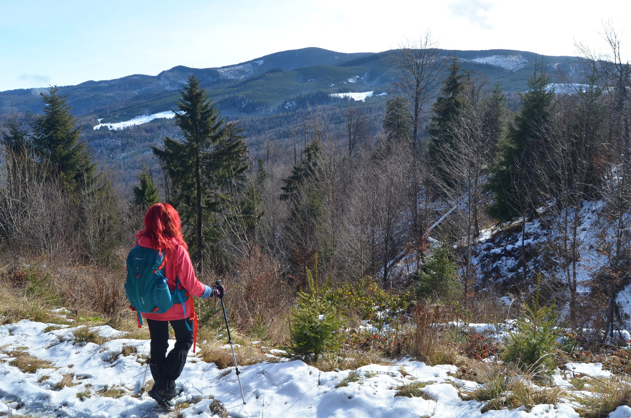  vedere spre mt. Zboina Frunoasa - Andrei Raftopol