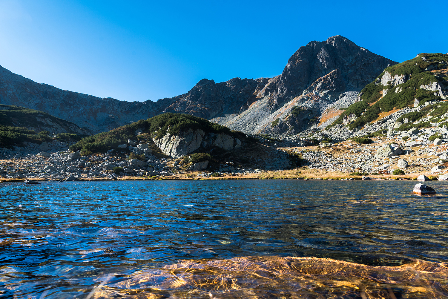 Carpații Meridionali