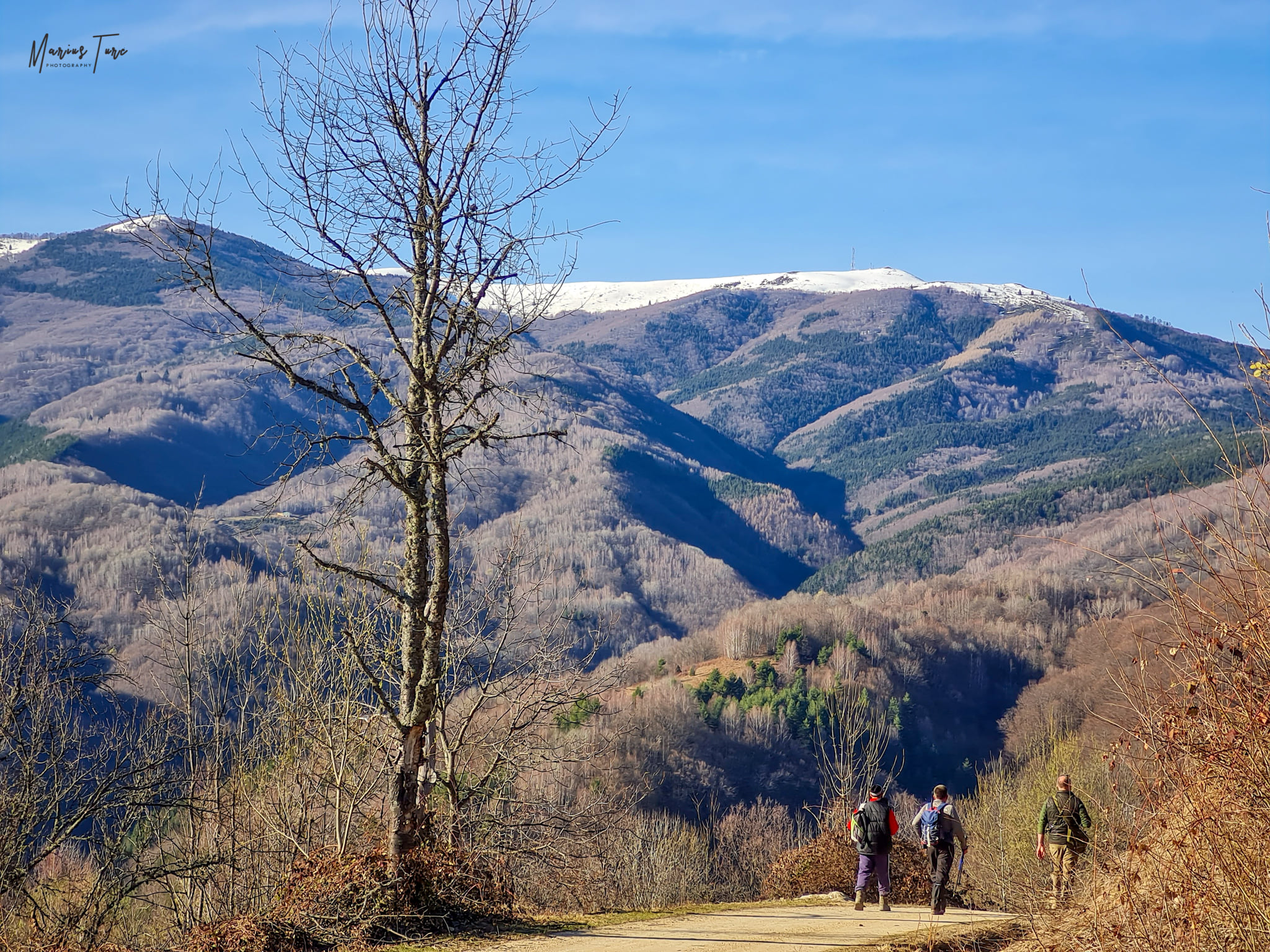  Drumul spre Bulzestii de Sus. - Marius Turc