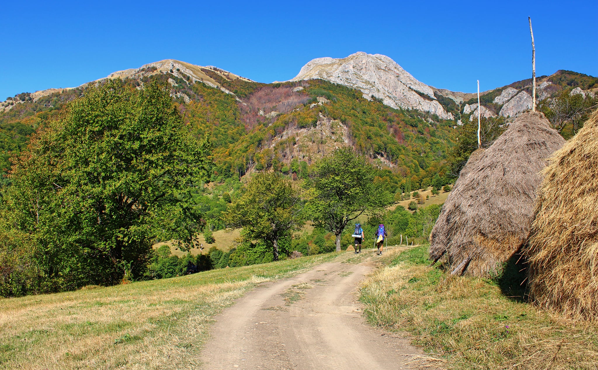  La pas prin Bedina- Sima Constantin