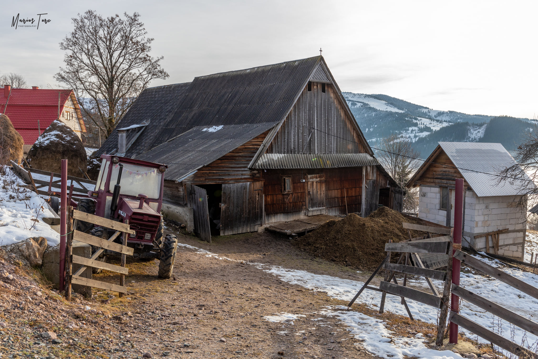  Sura de animale - Marius Turc