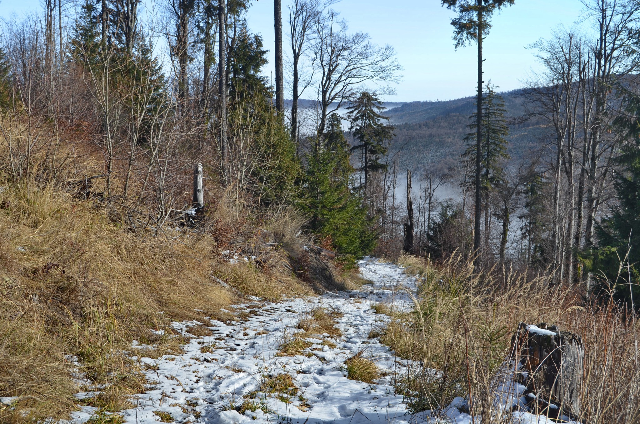  Urcare spre Golul Pietrosului - Andrei Raftopol