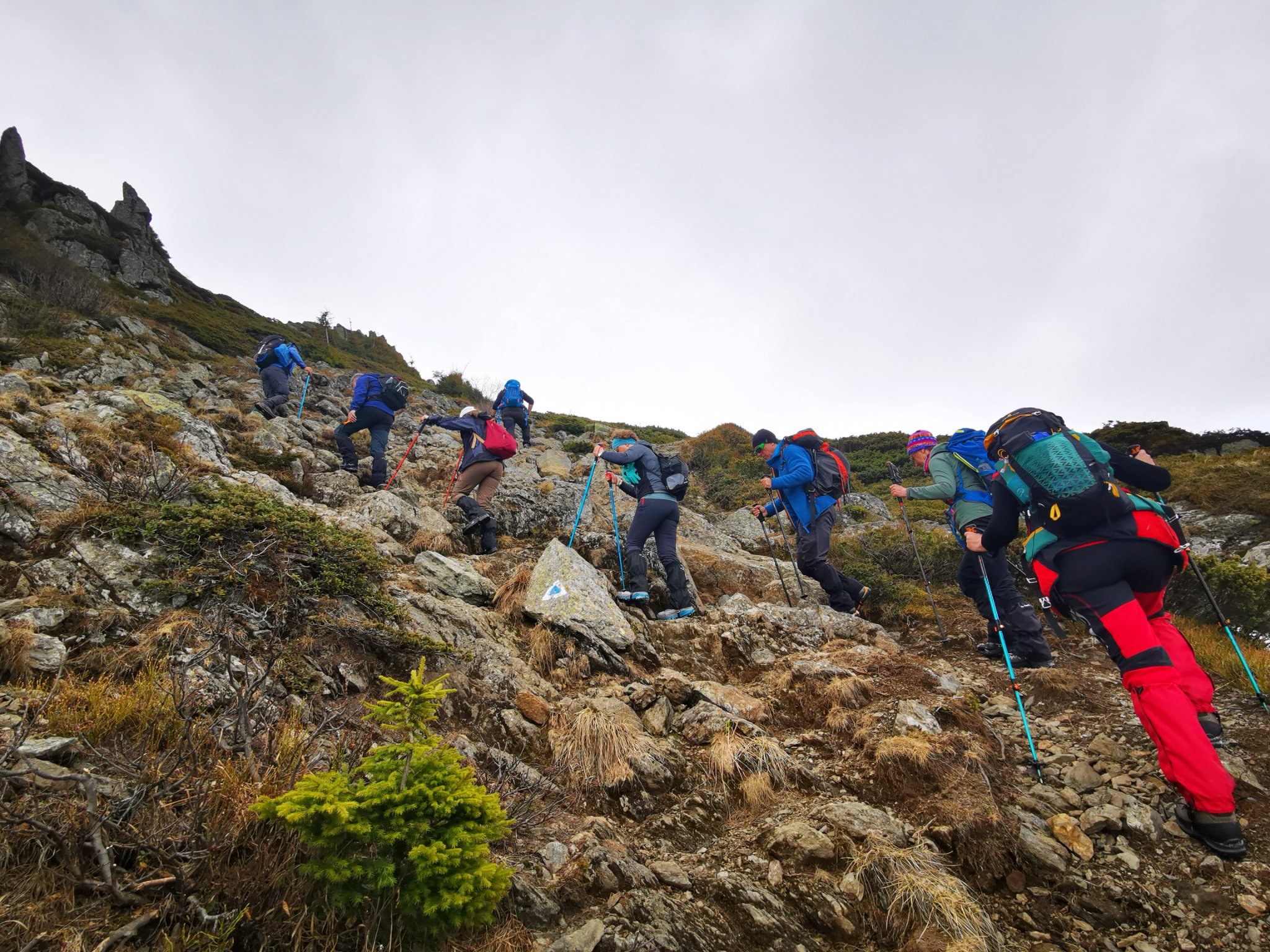 Urcam pe traseul de iarna 