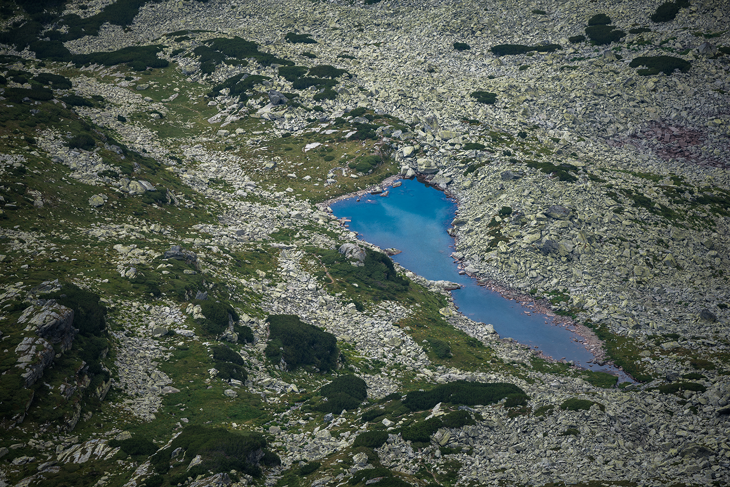 Carpații Meridionali