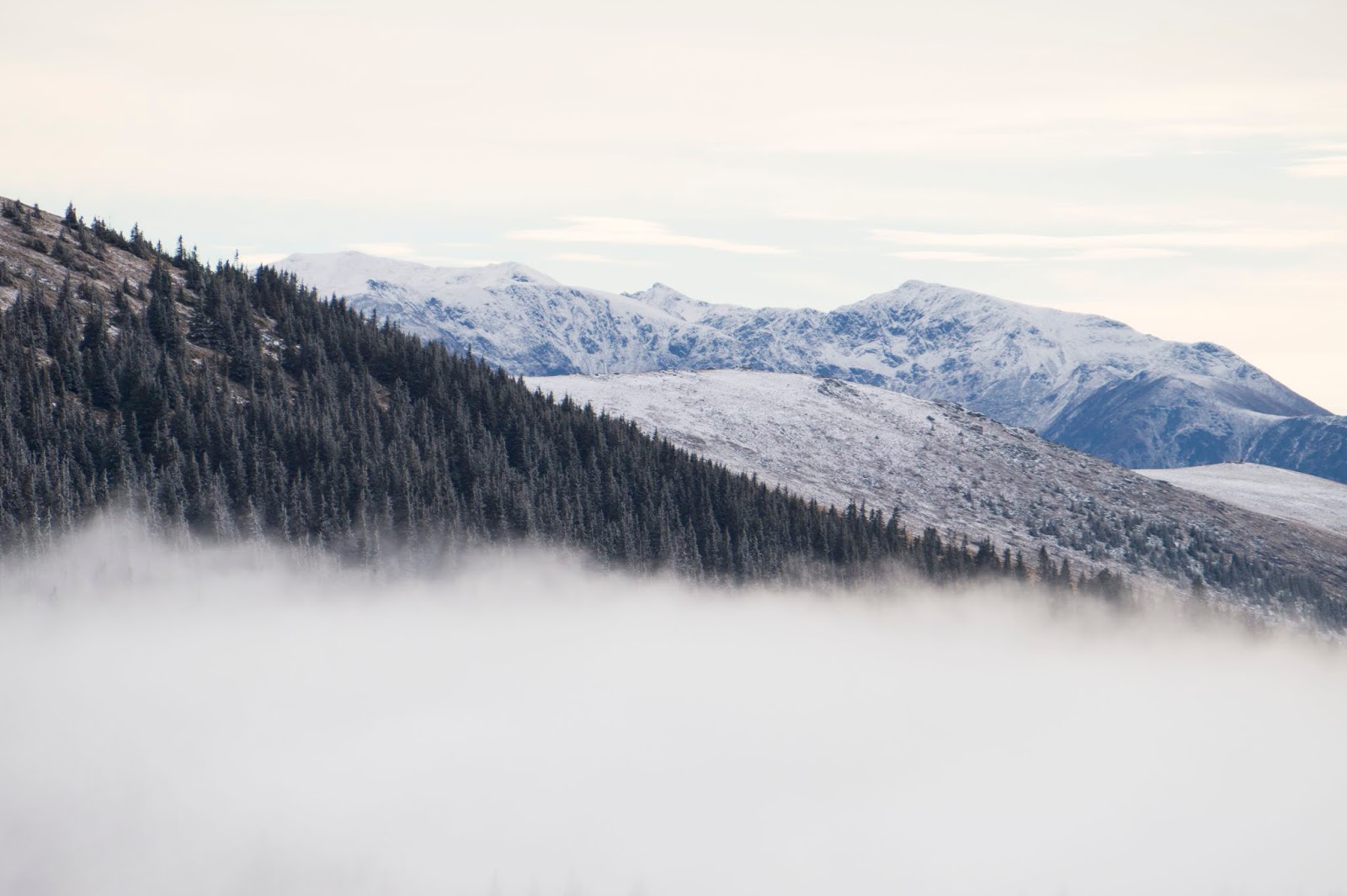 O parte-din-creasta-Parangului-vazuta-din-Sureanu - Alina Cirja