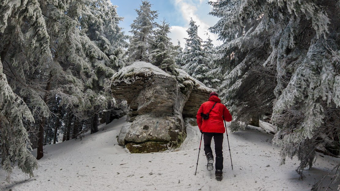 Spre Șaua Nemirei - Andrei Pahomi