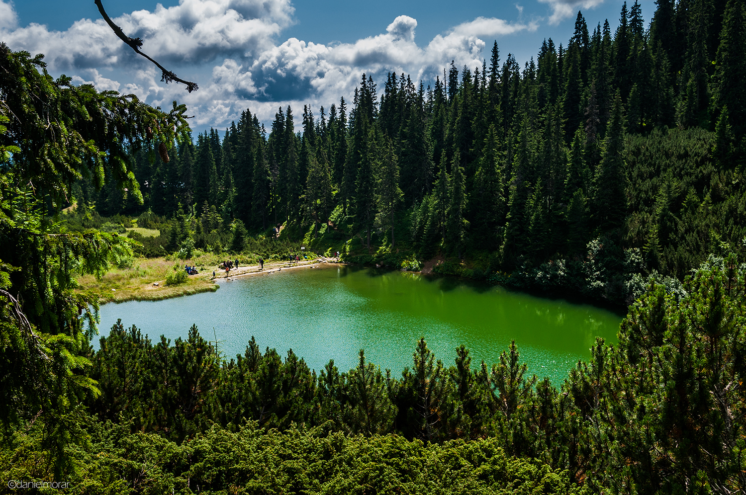 Carpații Meridionali