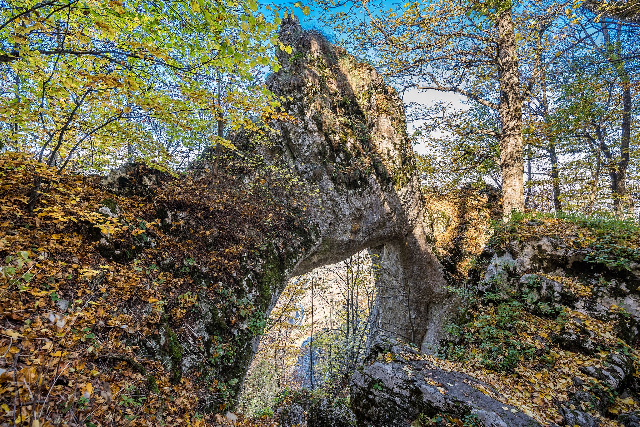  Arcada Poarta Zmeilor, Bedeleu - Morar Daniel