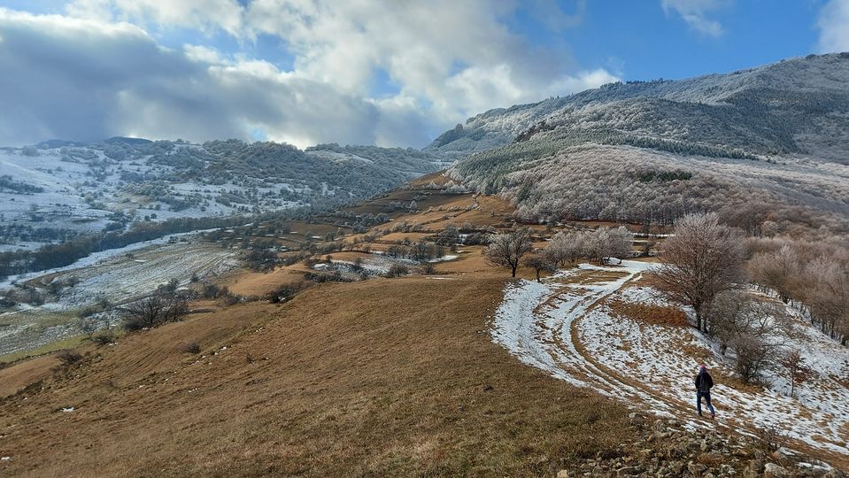  Armonie perfecta de culori toamna-iarna - Manu Muntomanu