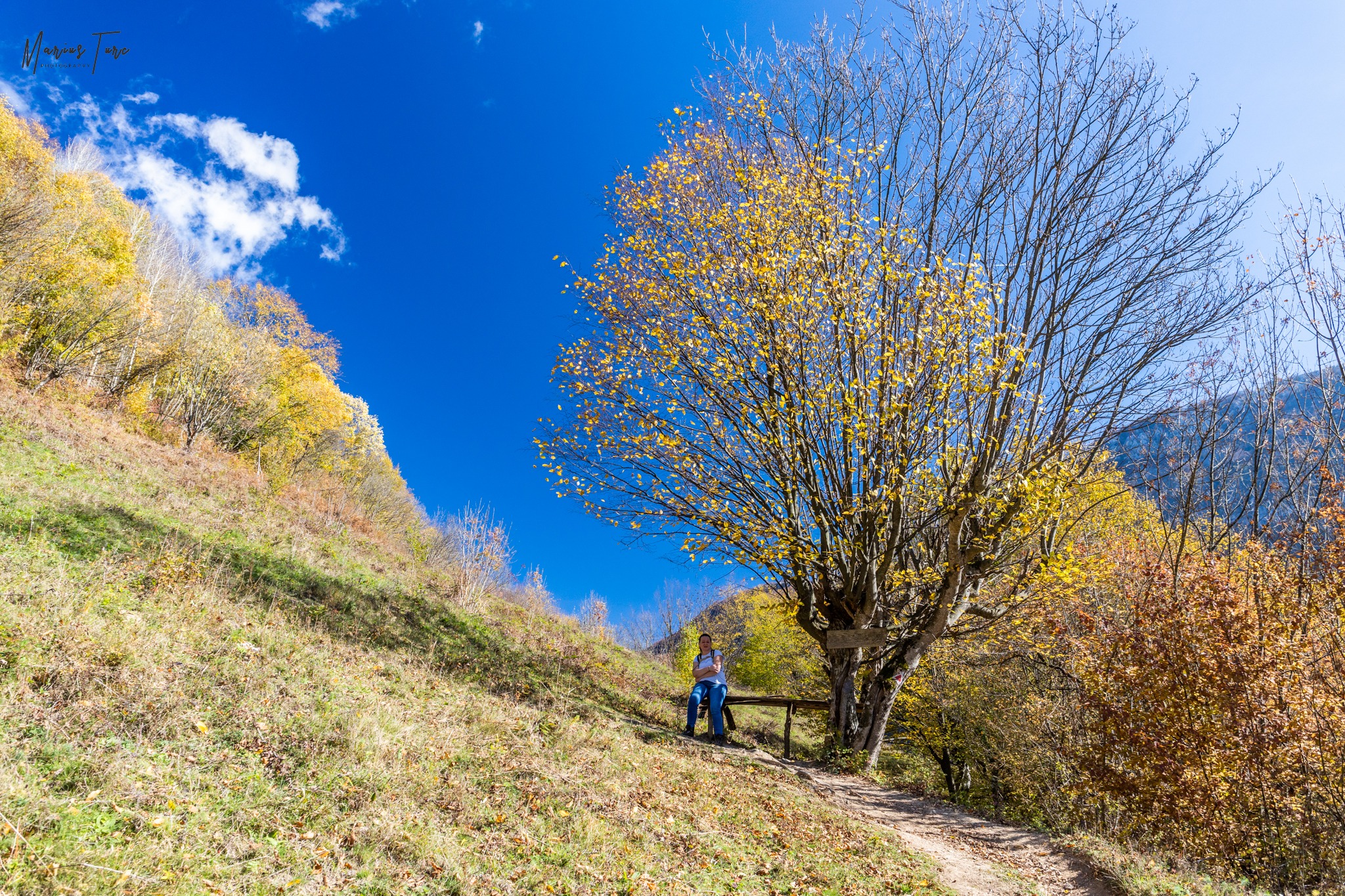  Banca de lemn și mesaje religioase spre Ineleț - Marius Turc