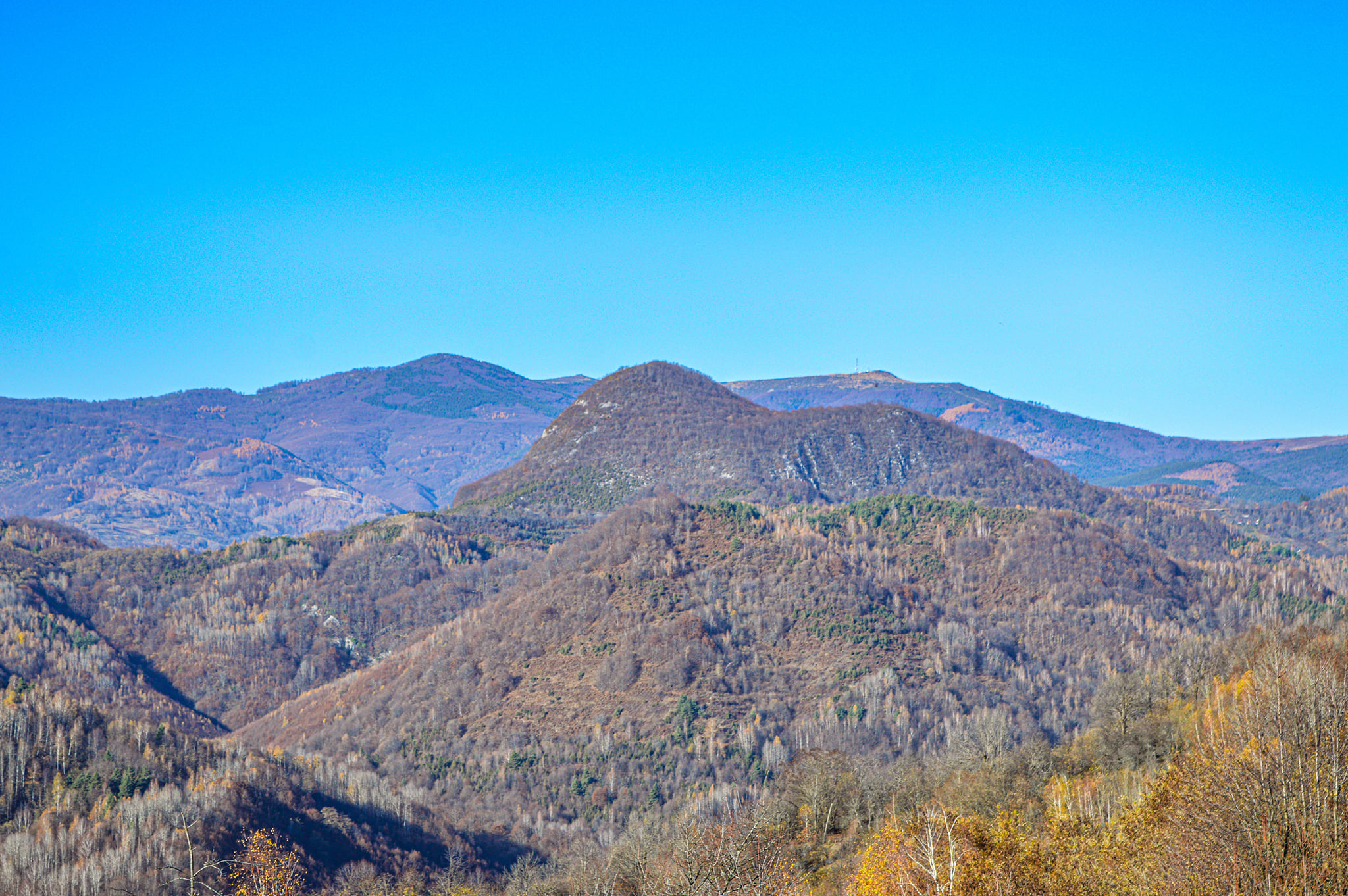  Bulzul Bulzestiului iar in departate Muntele Gaina - Nicu Ardeu