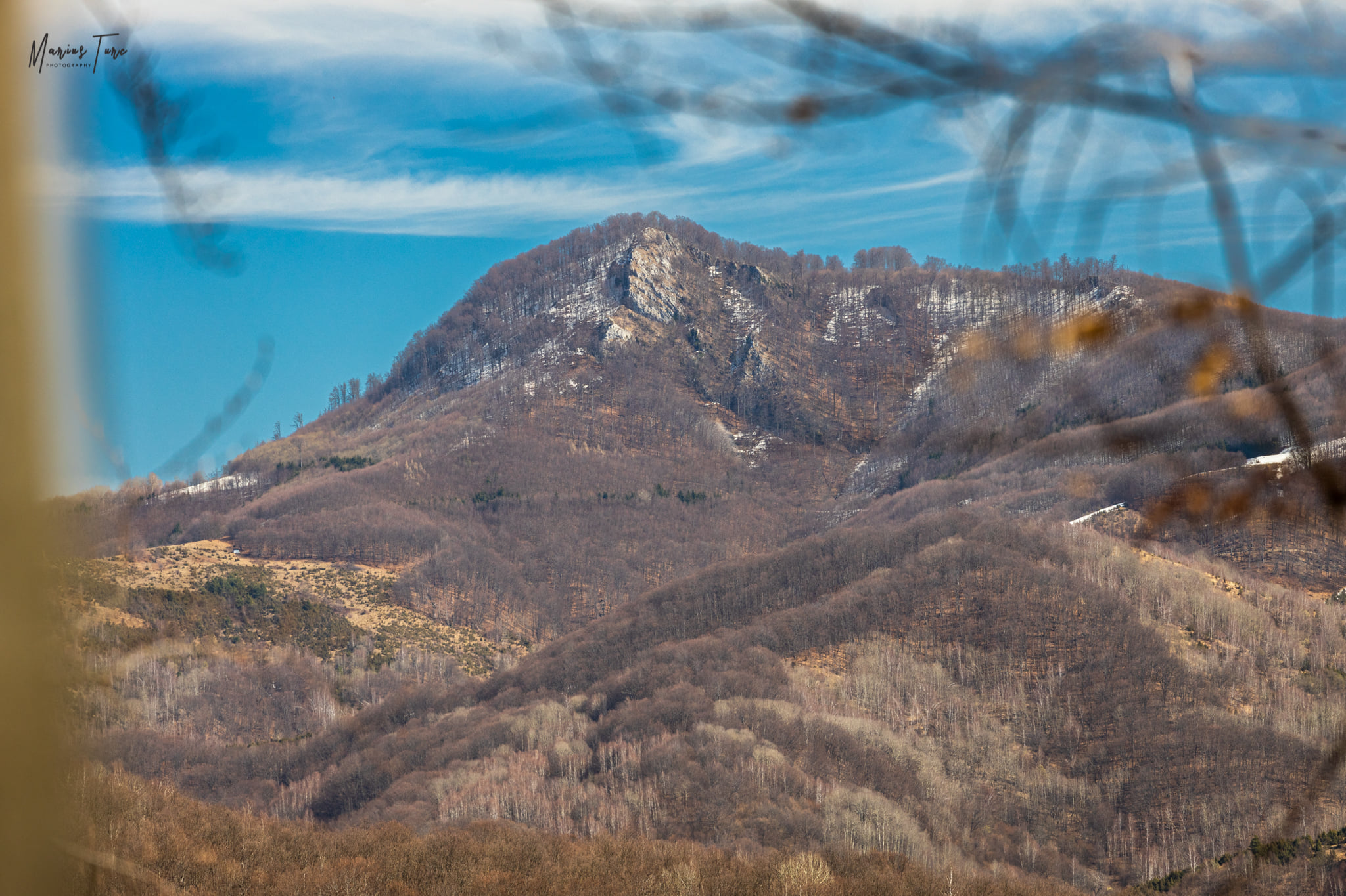  Bulzul Tomnatecului (Bulzisor) - Marius Turc