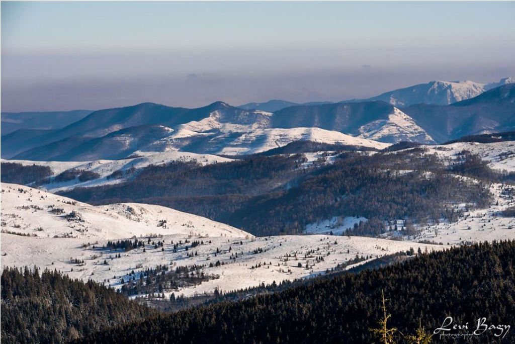  Buscat spre împrejurimi - Levi Bagy Photography