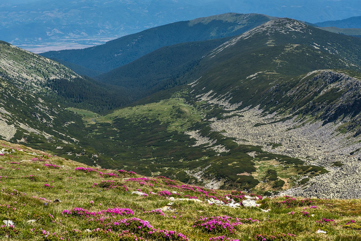 Carpații Meridionali
