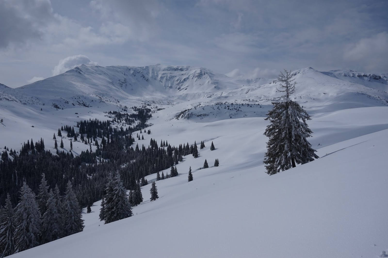  Cadru frumos cu Gărgălăul - Alina Cârja