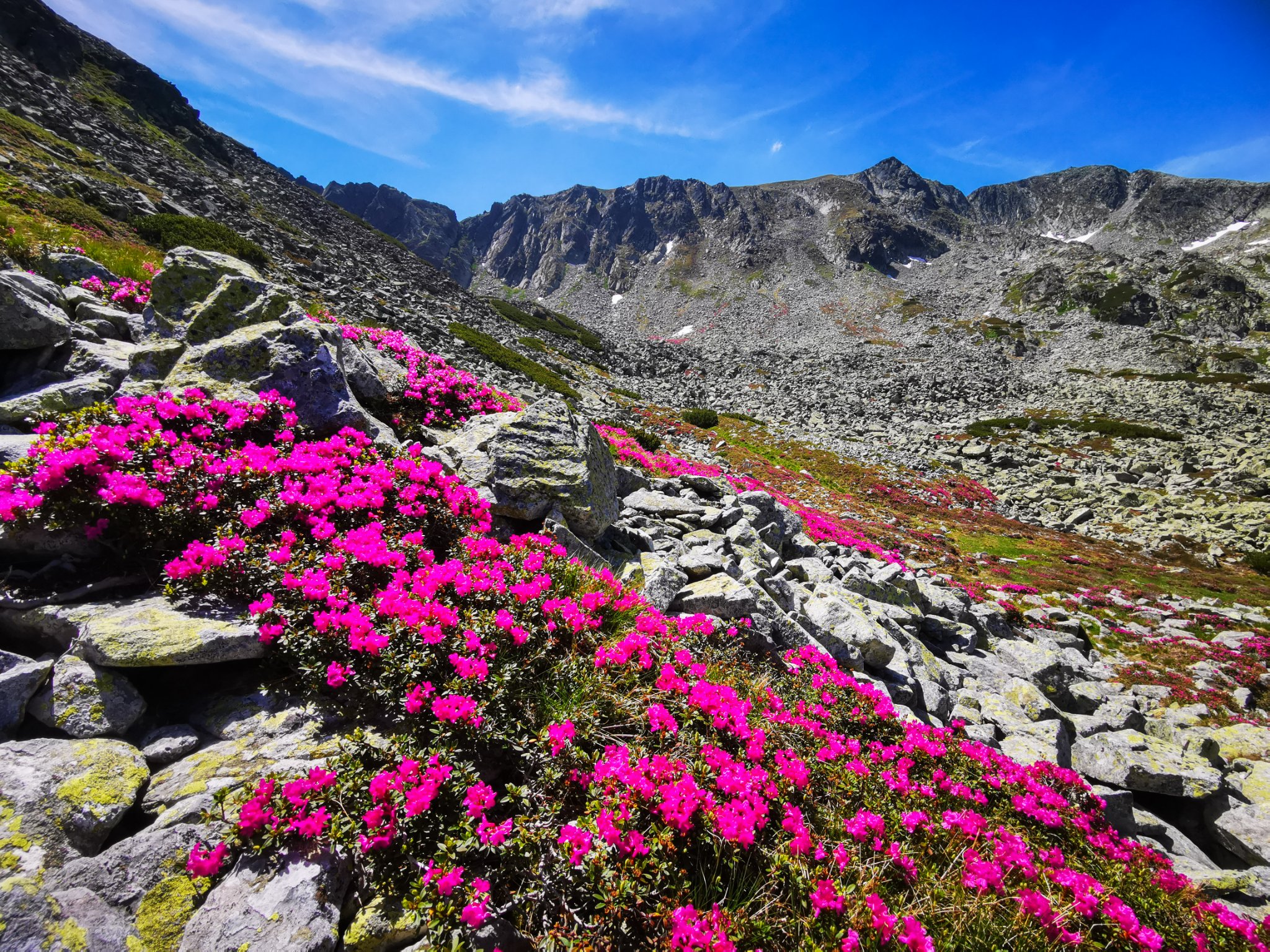  Căldarea superioară a Galeșului, spre Șaua Vârfului Mare. - Morar Daniel