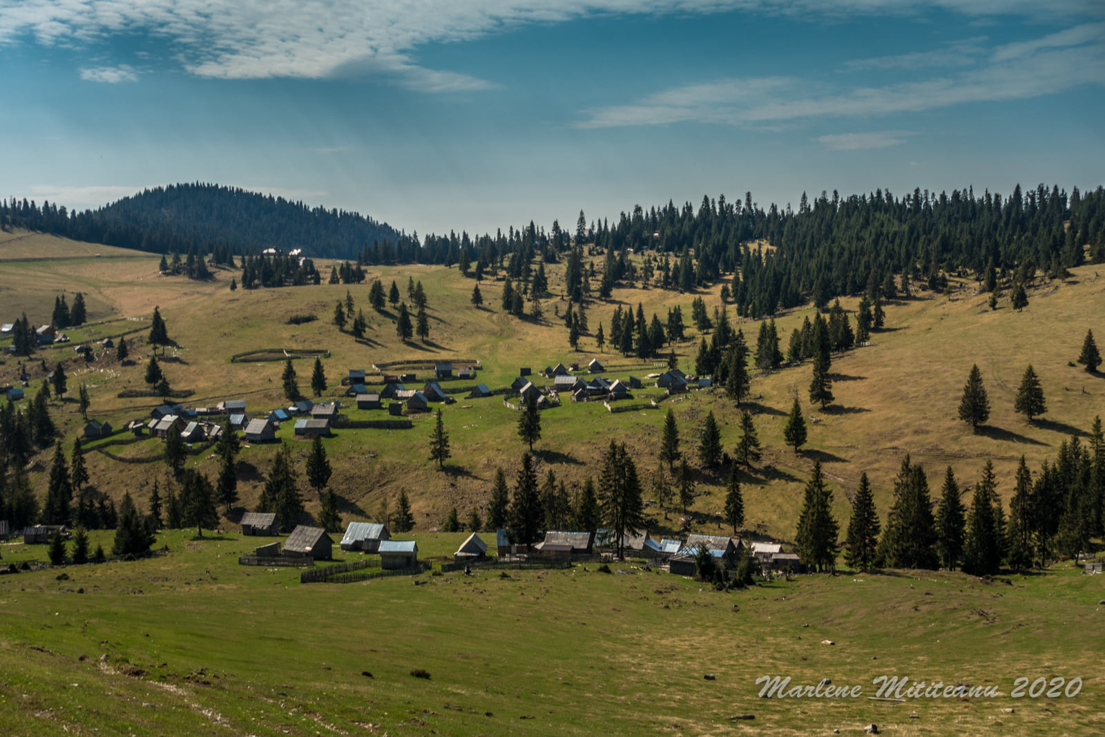  Poiana Calineasa - Marlene Mititeanu