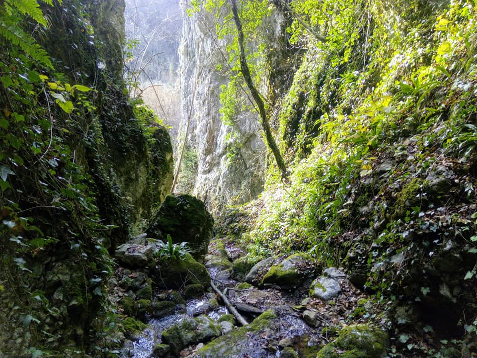  Canionul Toplița - Cheile Ribicioarei - Marinel Popa