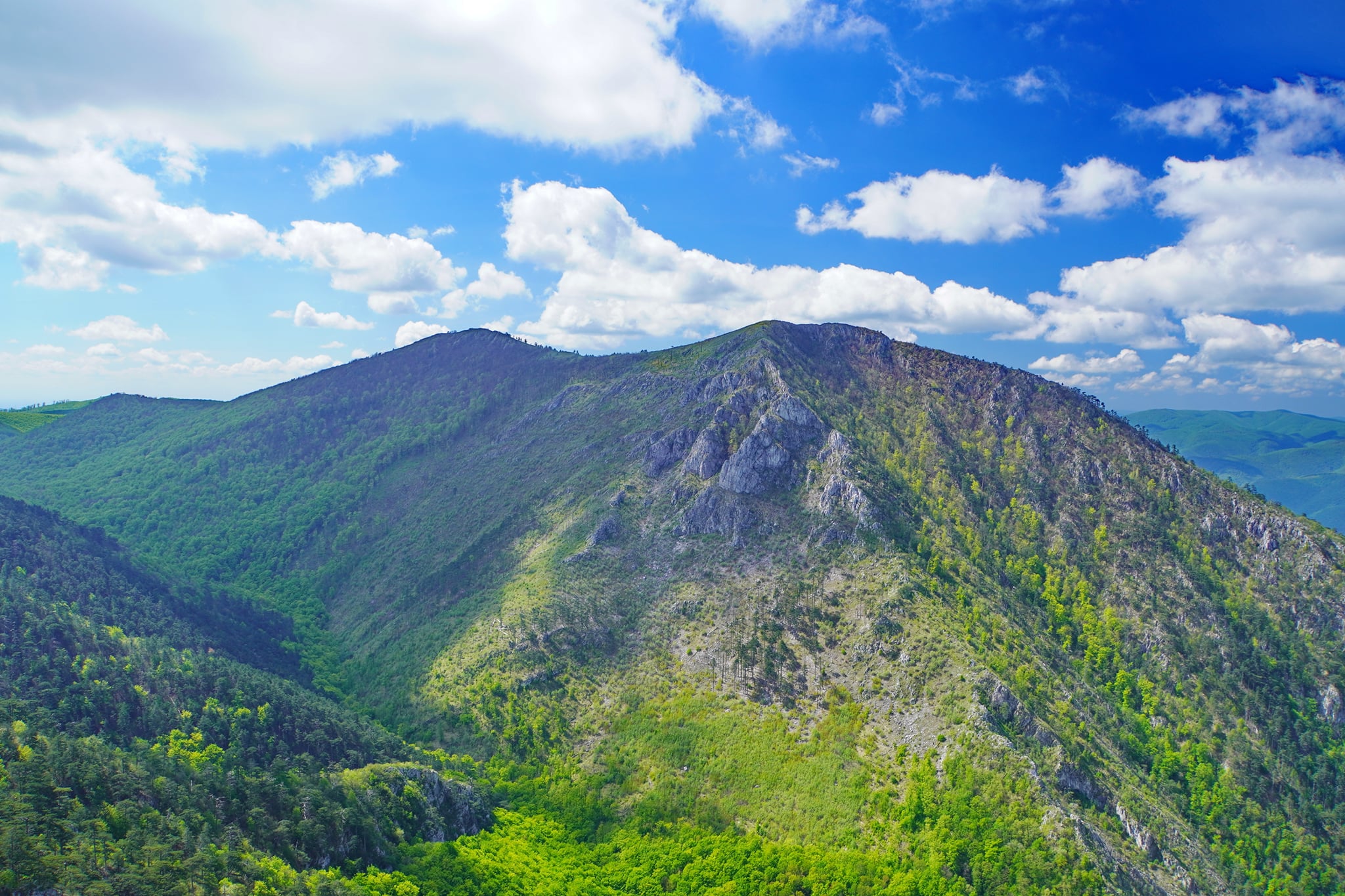  Cărarea Pisicii spre Domogledul Mic - Adrian Vintilă