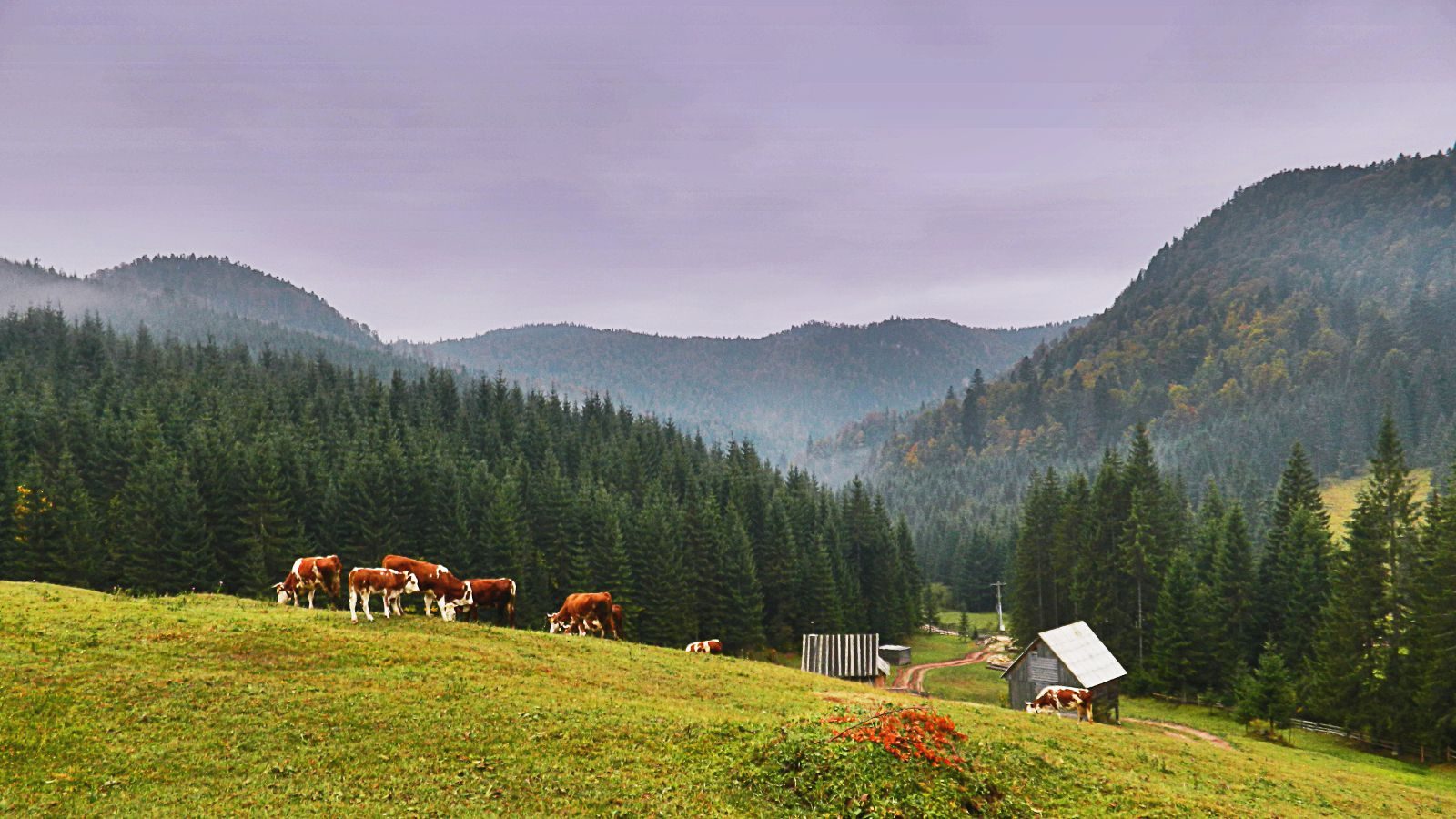  Catunul Casa de Piatra - Calatorii la singular