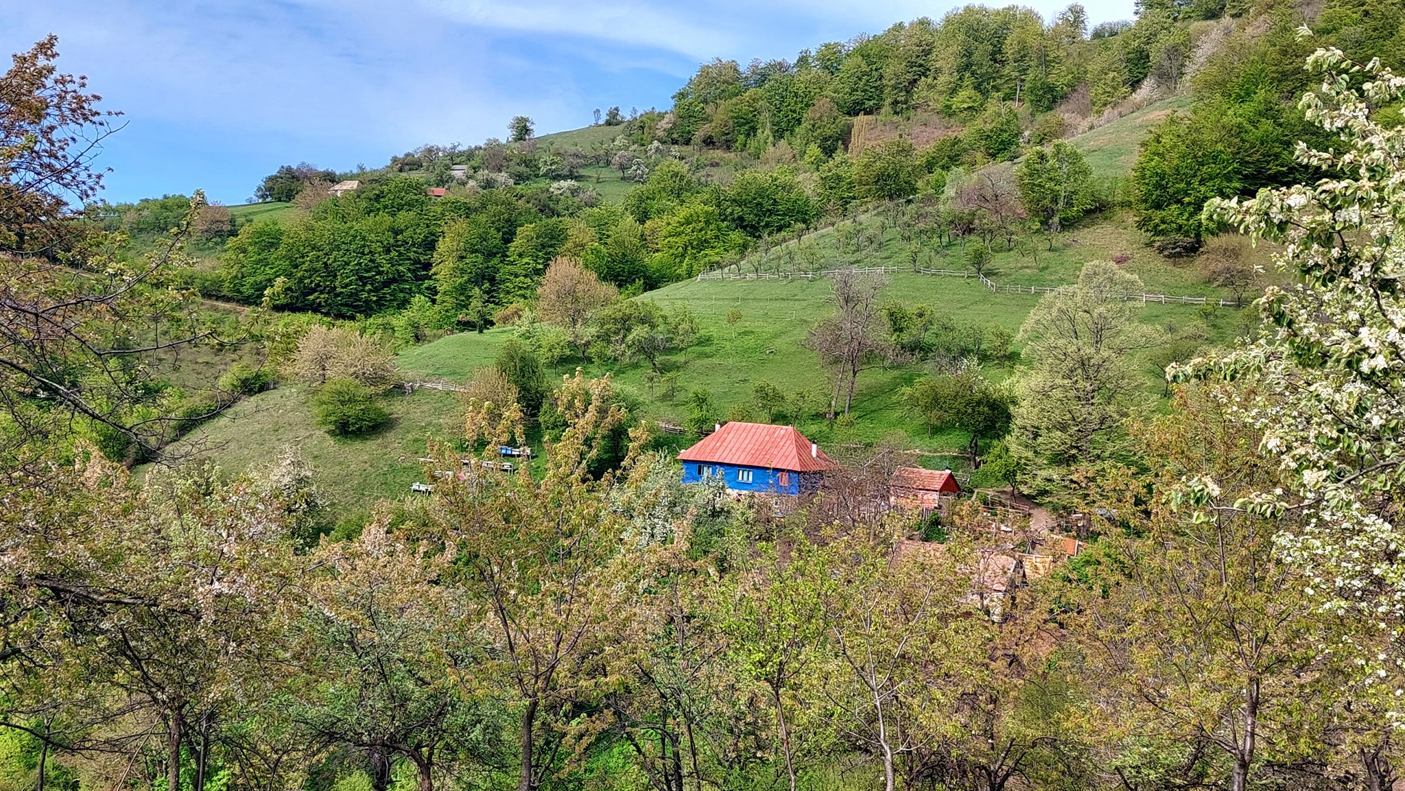  Căsuța Albastră. - Sima Constantin