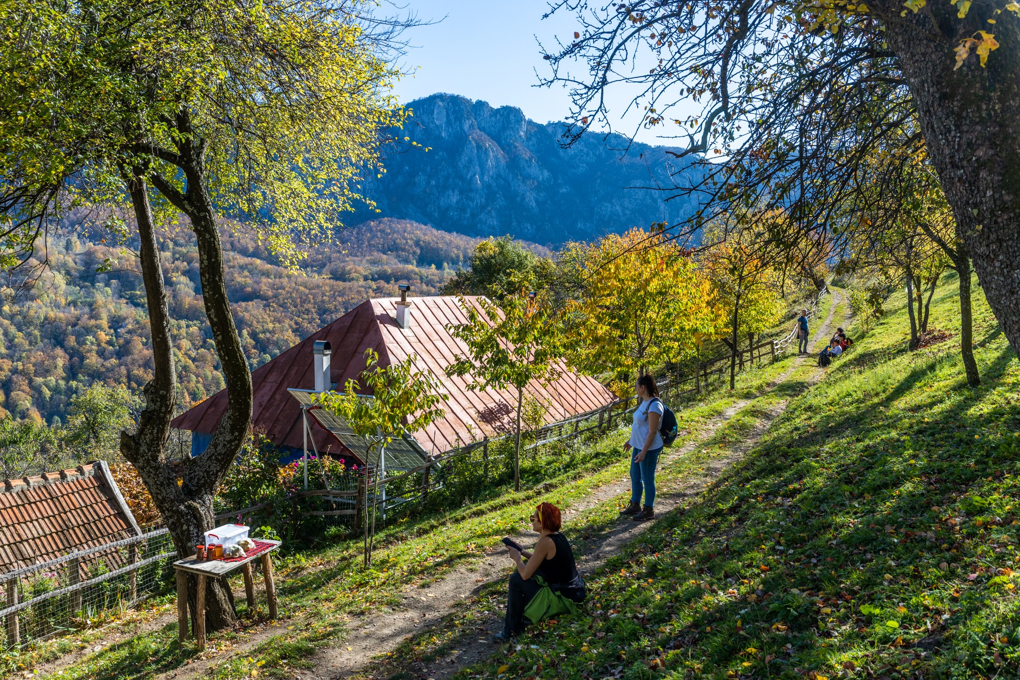 Căsuța Albastră din Ineleț, cu autoservire - Marius Turc