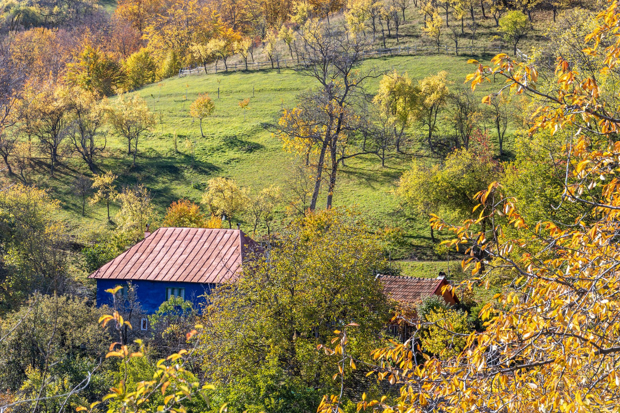  Căsuța Albastră din Ineleț, munții Cernei - Marius Turc