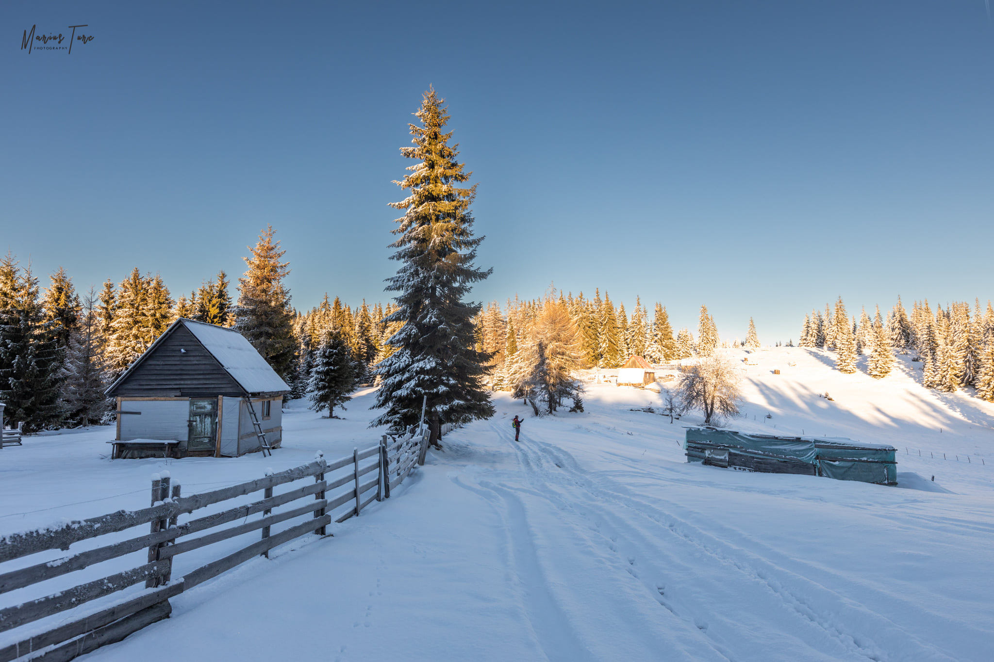  Casute de vara in drumul alb - Marius Turc